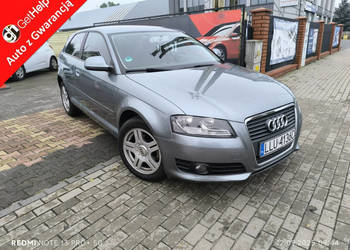 Audi A3 1.6 MPi 102KM Klimatyzacja 8P (2003-2012)