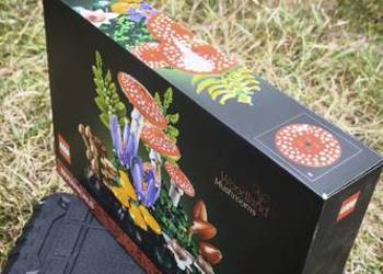LEGO Botanicals 11505 Grzyby Leśne
