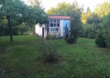 Ogródek działkowy ROD Wrocław Sępolno