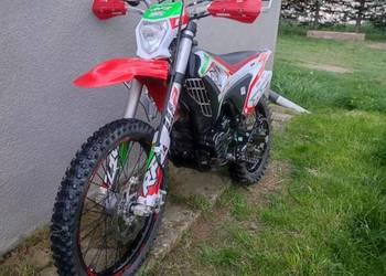 Cross rfz Lizard pro 250