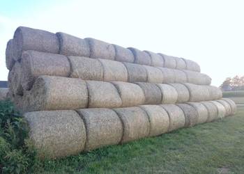 Sprzedam słomę belki zbite 120 owinięte siatka 200 kg
