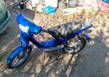 Piaggio velofax  50 z papierem