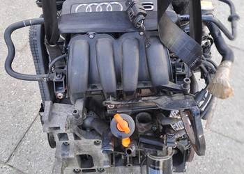 Audi Seat Skoda Volkswagen 1.6 8V 102KM silnik kod BGU BSE BSF 172 tys.km