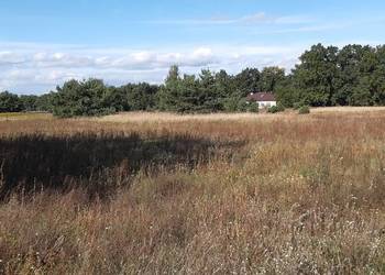 OKAZJA! Sprzedam działke Ciechocinek 80 zł  m2 OKAZJA! Sprzedam działke Ciechocinek 80 zł  m2