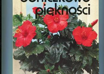 Doniczkowe piękności