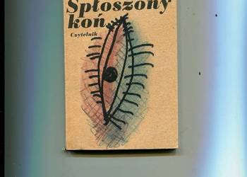 Spłoszony koń - Martin Walser