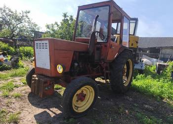 Władek T25 A