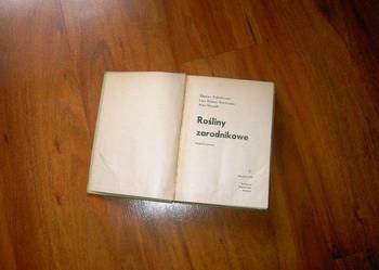 ROŚLINY ZARODNIKOWE