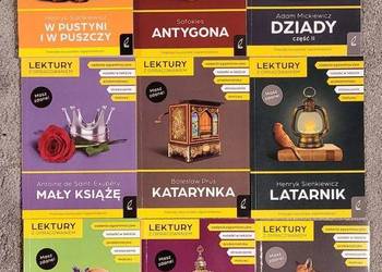 Lektury z opracowaniem Latarnik W pustyni Katarynka Kordian Ania Antygona