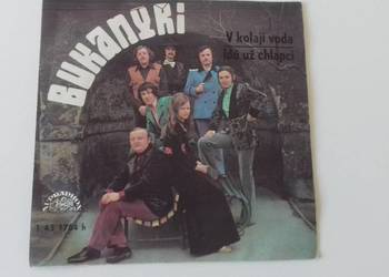 Winyl – Bukanyri - singiel, sprzedam