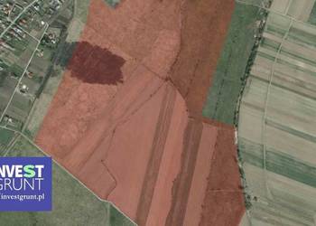 [21,25 ha] grunty rolne przetarg na dzierżawę
