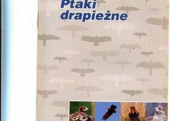 Komitet Ochrony Orłów Ptaki drapieżne