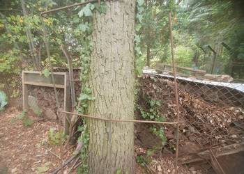 Stelaż do starej przyczepki do plandeki, ogrodowy, trzepak, na rośliny