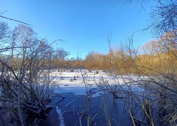 Działka z własnym jeziorem