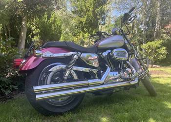 Harley Dawidson XL1200C