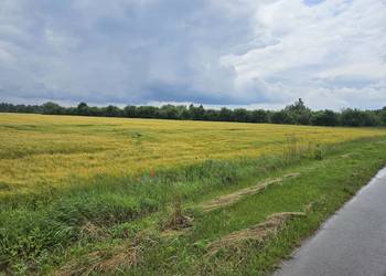 Sprzedam działkę rolną 9,03ha Zalasocze gm.Dorohusk