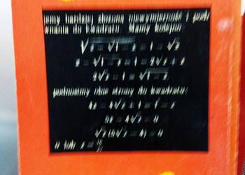 Słoneczniki książka dla dzieci prezent antykwariat szkolny
