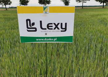 Jęczmień jary browarny RTG Planet, Lexy od Top Farms