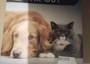 Preparat przeciw pchłom i kleszczom dla psów i kotów.