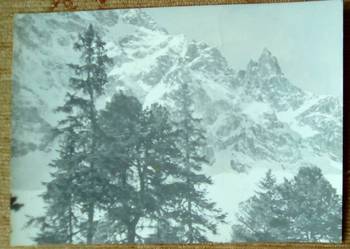 MNICH W TATRACH WYSOKICH NAD MORSKIM OKIEM