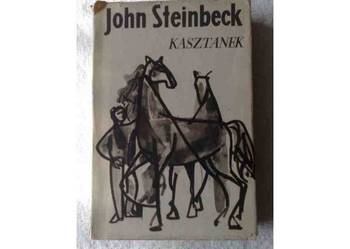 John Steinbeck: KASZTANEK i inne opowiadania.