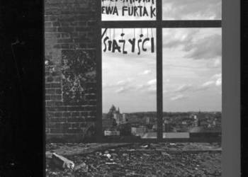 Stażyści - Aleksandra Ewa Furtak
