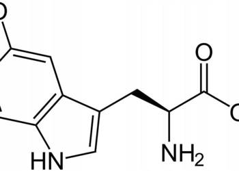5-HTP Czysty 5-Hydroksytryptofan Proszek 1000mg