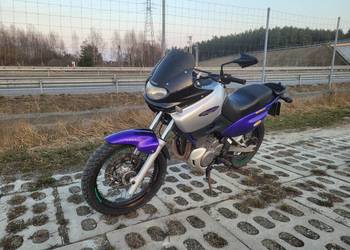 Suzuki xf 650 freewind A2