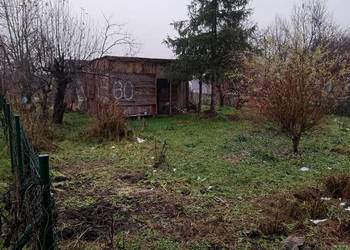 Sprzedam działkę ROD Kalina, ul. Zawilcowa, z domkiem do remontu, prąd,woda