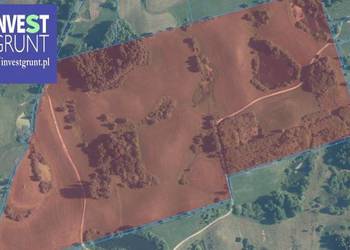 [16,18 ha] przetarg na dzierżawę gruntów rolnych