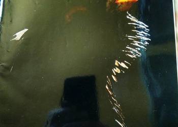 Łowiec polski Łowiec polski