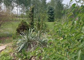 Sprzedam działkę budowlaną