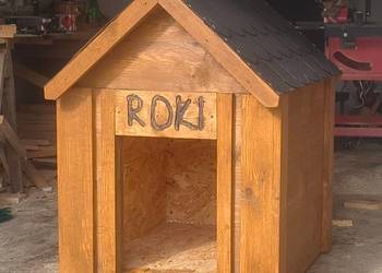 Budy dla psów