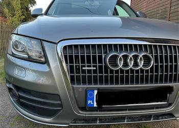 AUDI Q5, logo emblemat