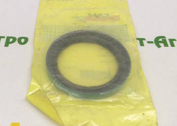 196011 Uszczelka olejowa CNH