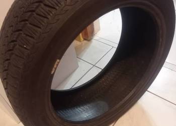 Opony zimowe Dębica HP2 225/45R17