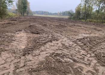 karczowanie, wycinka drzew, czyszczenie działek, mulczer leśny, usługi