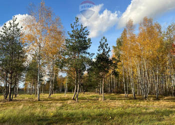 Działka budowlana nr 60/22 Józefów gmina Pniewy