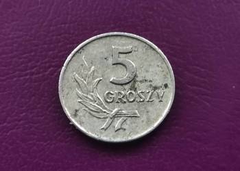 Moneta z PRL-u 5 groszy 1961 - Poszukiwana Rzadkość !