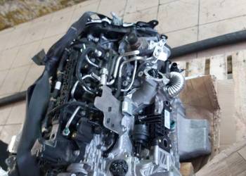 Silnik Ford Focus Conect 1.5 Tdci ZTDA BRATFORD RADOM NOWY
