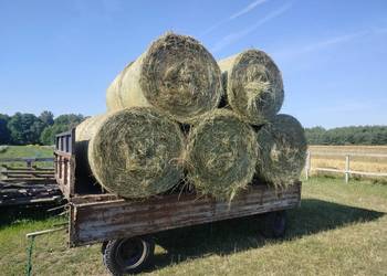 Pogodne siano zbiór 2025 Rolka kostka Słoma jęczmienna kostka