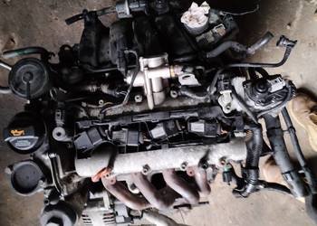 Silnik VW Golf V Plus 1,6 fsi BLF