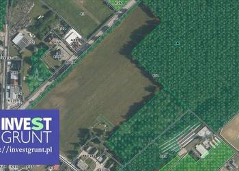 [15,31 ha] przetarg na dzierżawę gruntów rolnych