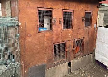 Sprzedam klatkę dla królików/ odchowu kurcząt