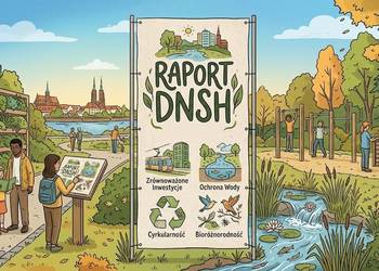 Przykład raportu DNSH, przygotowanie sprawozdania, cennik