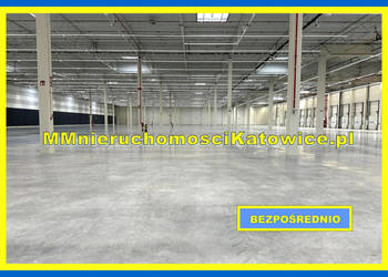 Magazyny do wynajęcia do 10.000 m2 Mysłowice Śląsk przy A4 i S1 - BEZ PROW…