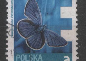 Zn. Fi 4477 kas  2013