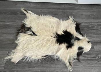 Naturalna skóra kozia – biało-czarna, długi włos