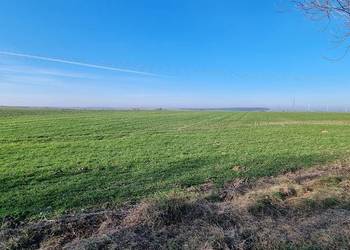 Sprzedaż działek rolnych 4,76 ha – Rożki-Kolonia
