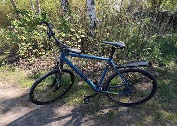 Rower bergamont helix 3